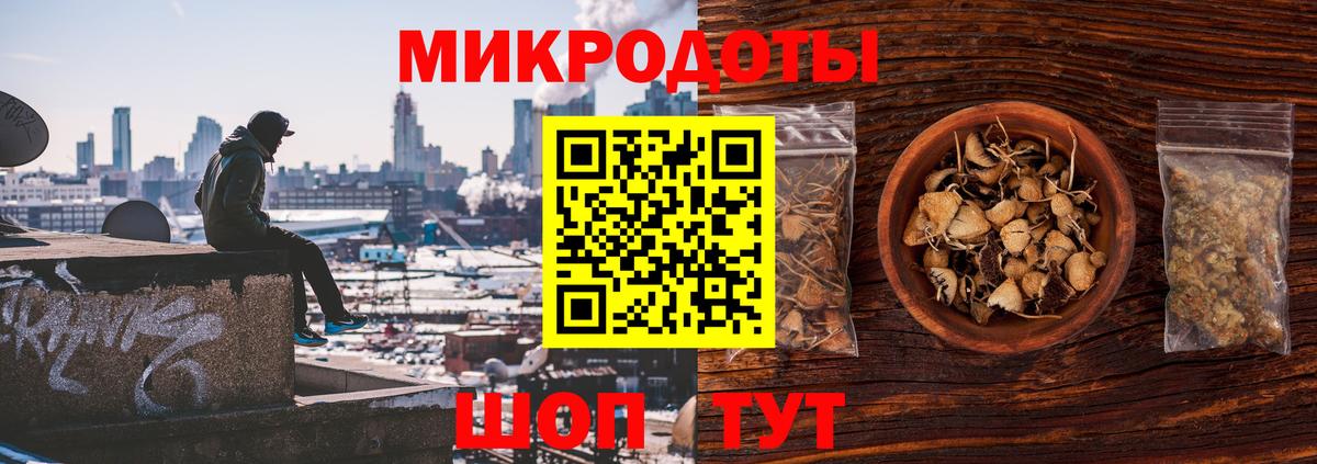 Псилоцибиновые грибы мицелий Домодедово